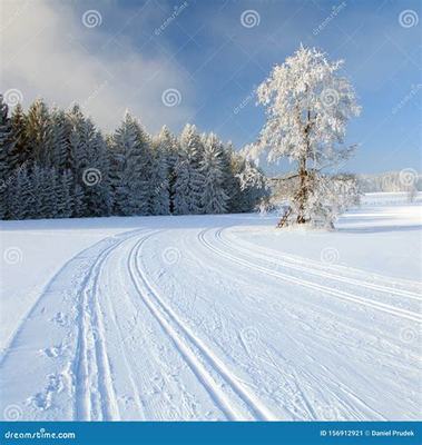 手机武动九天店 打破传统，引领消费新潮流